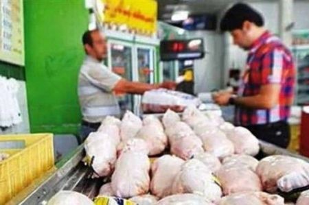 اخباراقتصادی ,خبرهای اقتصادی ,مرغ اخباراقتصادی ,خبرهای اقتصادی,مرغ