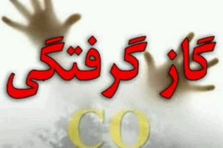 اخبار,اخبار پزشکی,مسمومیت با مونوکسید کربن اخبار,اخبار پزشکی,مسمومیت با مونوکسید کربن