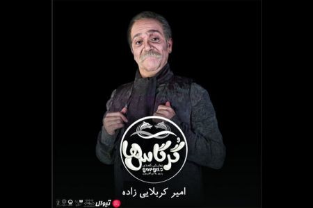 اخبار,اخبار فرهنگی,امیر کربلایی زاده اخبار,اخبار فرهنگی,امیر کربلایی زاده