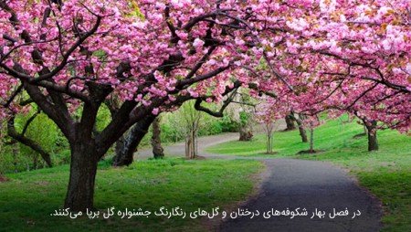 بهترین زمان برای سفر به شیراز بهترین زمان برای سفر به شیراز,سفر به شیراز