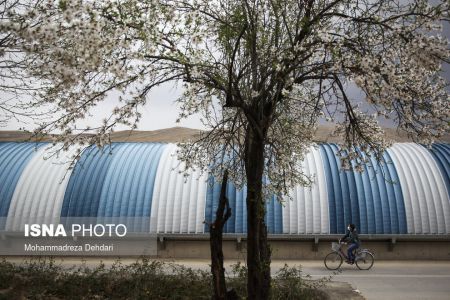 اخبارگوناگون,خبرهای گوناگون ,رویش زودهنگام شکوفهها اخبارگوناگون,خبرهای گوناگون ,رویش زودهنگام شکوفهها
