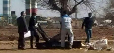 حوادث روز ،اخبارحوادث،خبرهای حوادث حوادث روز,اخبار حوادث,خبرهای حوادث