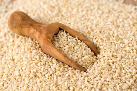 کنجد پارکینسون ،اخبار پزشکی ،خبرهای پزشکی کنجد پارکینسون,اخبار پزشکی ,خبرهای پزشکی