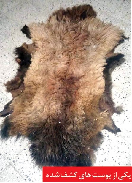 حوادث روز ،اخبارحوادث،خبرهای حوادث حوادث روز,اخبار حوادث,خبرهای حوادث
