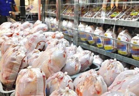 مرغ ،اخباراقتصادی ،خبرهای اقتصادی مرغ ,اخباراقتصادی ,خبرهای اقتصادی