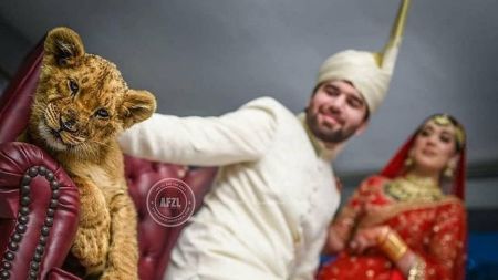 زوج پاکستانی،اخبارگوناگون,خبرهای گوناگون زوج پاکستانی,اخبارگوناگون,خبرهای گوناگون