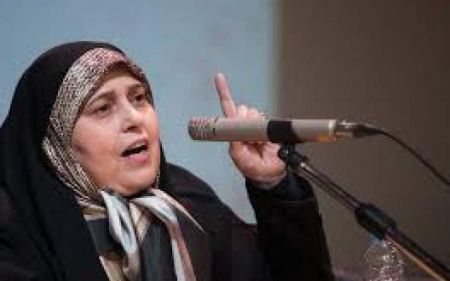 اخبار,اخبار سیاسی,پروانه سلحشوری