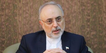 اخبار,اخبار سیاست خارجی,علی اکبر صالحی اخبار,اخبار سیاست خارجی,علی اکبر صالحی