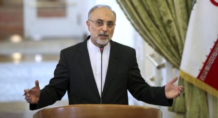 اخبار,اخبار سیاست خارجی,علی اکبر صالحی اخبار,اخبار سیاست خارجی,علی اکبر صالحی