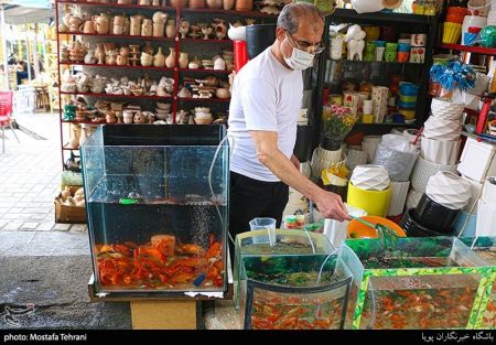 عکس خبری,استقبال از نوروز 1400 عکس خبری,استقبال از نوروز 1400