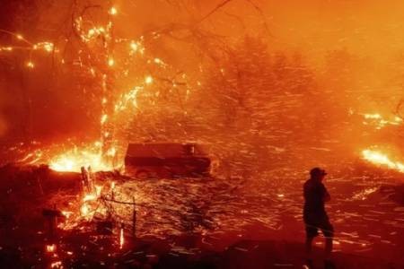 عکسهای جالب,عکسهای جذاب,آتش سوزی جنگلی 