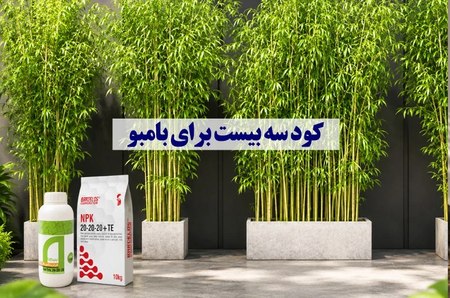 کود سه بیست برای بامبو کود سه بیست برای بامبو