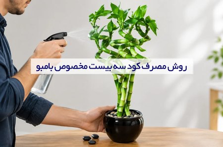 روش صحیح مصرف کود سه بیست مخصوص بامبو روش صحیح مصرف کود سه بیست مخصوص بامبو