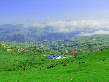 سفر به جنگل ابر در تابستان بهترین مکان برای سفر در تابستان,معرفی مکان هایی برای سفر در تابستان,سفر به تنگه واشی در تابستان
