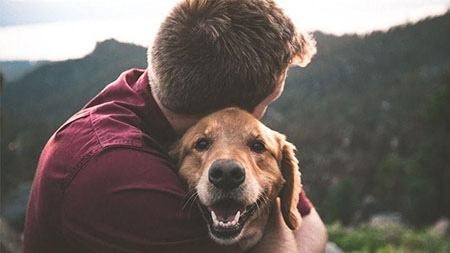  نگهداری سگ و سلامت روان, تاثیرات مثبت نگهداری از حیوان خانگی, فواید نگهداری از حیوانات برای جسم و روح
