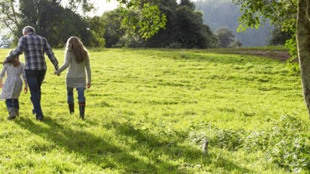 داشتن زندگی بهتر, زندگی بهتر, برای زندگی بهتر, برای ساختن بهترین زندگی