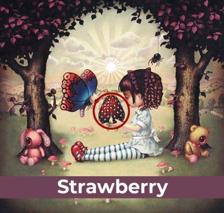 شخصیت شناسی با انتخاب تصاویر آشنایی با آزمون شخصیت شناسی بصری