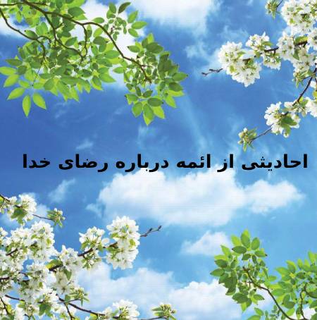 حدیث هایی از ائمه درباره رضای خداوند