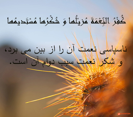 احادیث درباره ناشکری, حدیث هایی درباره ی ناشکری, احادیثی از ائمه درباره ی ناشکری