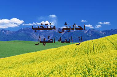 حدیث, احادیث, احادیث ائمه, سخنان ائمه