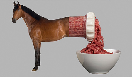 نظر مراجع درباره حکم خوردن گوشت اسب,احکام خوردن گوشت اسب,خوردن گوشت اسب چه حکمی دارد