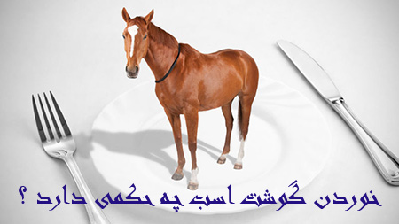 احکام خوردن گوشت اسب, آشنایی با احکام خوردن گوشت اسب, خوردن گوشت اسب چه احکامی دارد