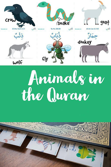 آشنایی با حیوانات قرآنی, حیوانات قرآنی چیست, اسامی حیواناتی که در قرآن آمده است چیست