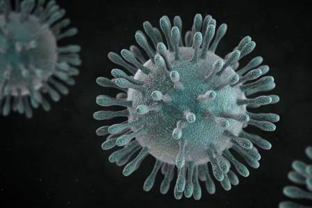 درباره ی کرونا ویروس, آشنایی با انواع کرونا ویروس
