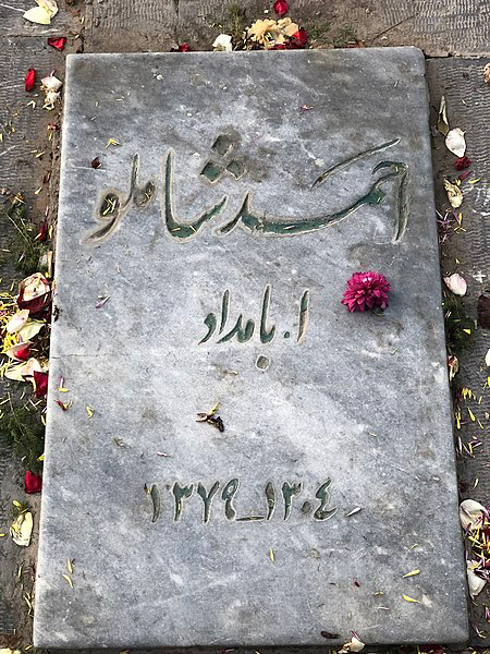 احمد شاملو کیست,آشنایی با زندگی احمد شاملو