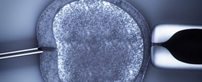 اولین بار پرورش تخمک انسان,نحوه پرورش تخمک انسان در آزمایشگاه