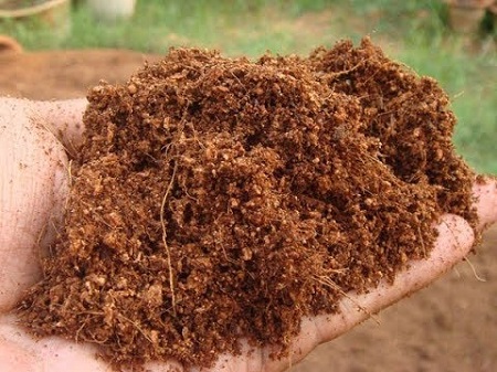 نحوه استفاده از خاک کوکوپیت, خاک کوکوپیت, استفاده از خاک کوکوپیت