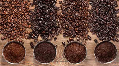 ارتفاع درخت قهوه, عکس درخت قهوه, پرورش درخت قهوه