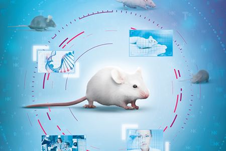 راههای انتقال آبله موش, تشخیص آبله موش, علایم آبله موش