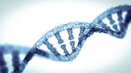اصلاح ژن رویان انسان,موفق به اصلاح ژن رویان انسان