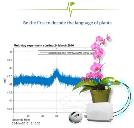دستگاهی برای شنیدن صدای گیاهان, کارایی دستگاهی برای شنیدن صدای گیاهان
