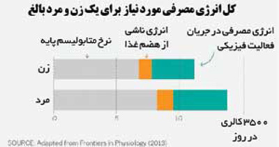 کاهش سرعت متابولسیم, راههای کاهش سرعت متابولسیم