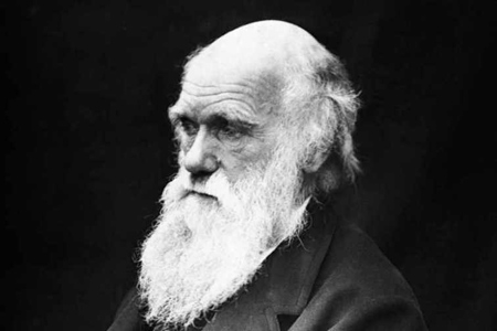 کشف معمای ژنتیکی نظریه داروین,حل معمای ژنتیکی نظریه داروین