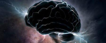 علت پیچیدگی مغز انسان,درباره مغز انسان