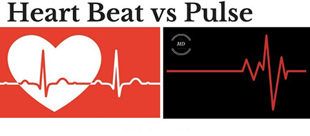 چرا در شرایط مختلف تعداد نبض متفاوت است,انواع نبض,bpm چیست قلب