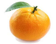 علت گرد بودن میوه ها,پرتقال