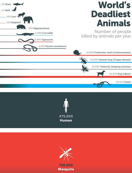 جانوران,خطرناک ترین جانوران زمین,جانوران سمی
