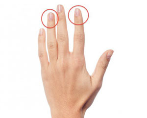 انگشت اشاره,تاثیر طول انگشت بر شخصیت افراد,کشفیات علمی