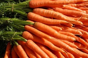 هویج,خواص هویج,افزایش قدرت باروری مردان