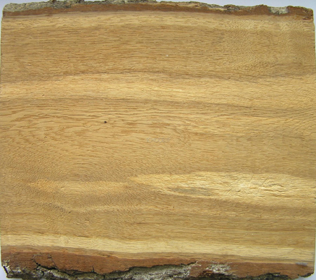ویژگی های انواع چوب