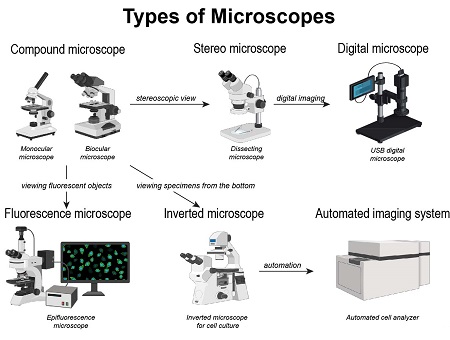 وظیفه میکروسکوپ, انواع میکروسکوپ های آزمایشگاهی, انواع میکروسکوپ
