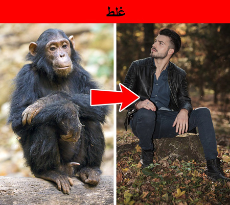 آشنایی با اشتباهات علمی, تصورات نادرست علمی