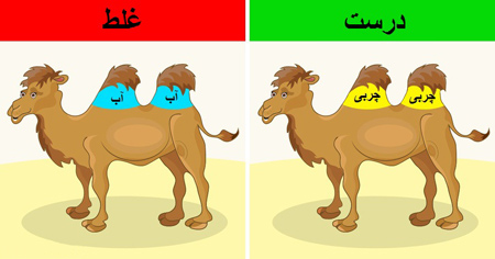 تصورات نادرست علمی,باورهای غلط علمی