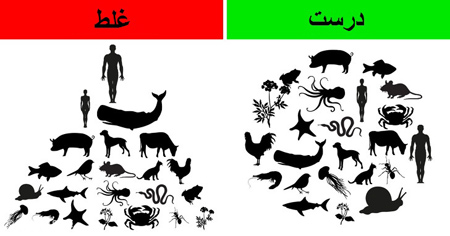 اشتباهات علمی,باورهای اشتباه علمی