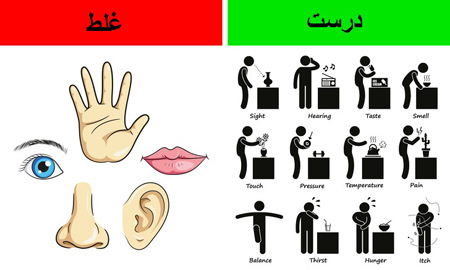 تکامل یافته ی شامپانزه ها,باورهای غلط درباره انسان ها