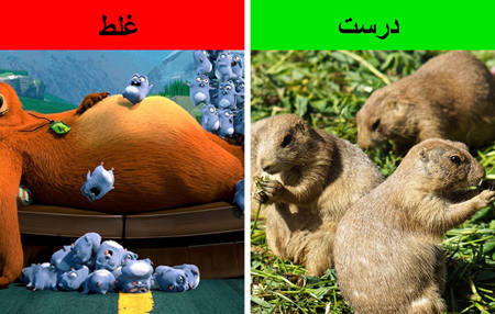 تصورات علمی نادرست, درباره انسان های اولیه